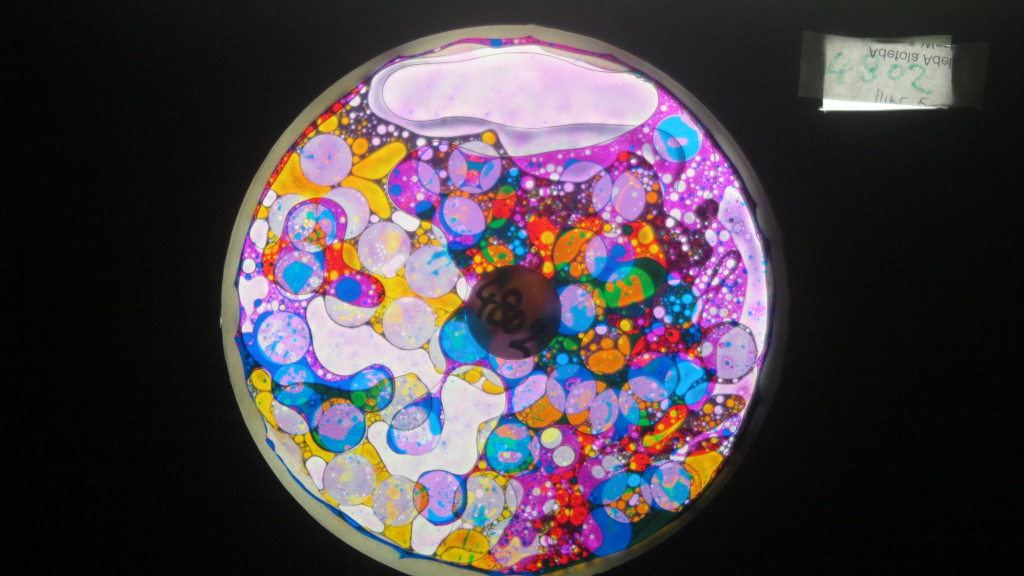 BV4802 bubble vision oil wheel